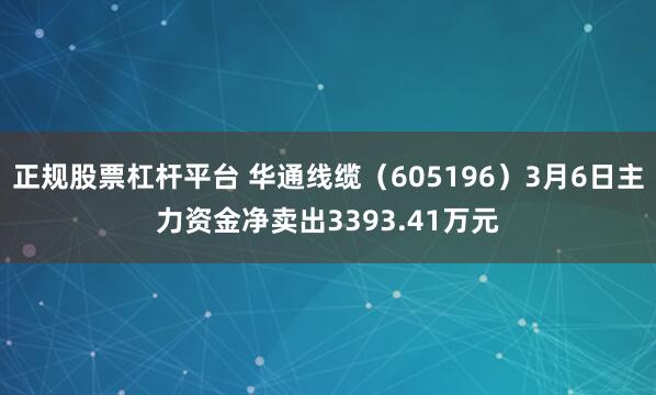 正规股票杠杆平台 华通线缆(605196)3月6日主力资金净卖出3393.41万元