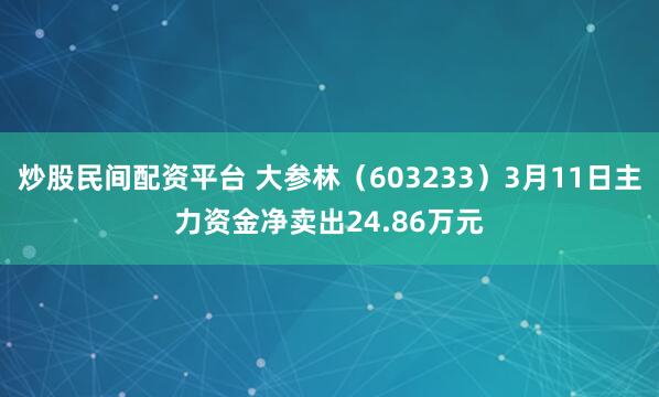 炒股民间配资平台 大参林（603233）3月11日主力资金净卖出24.86万元
