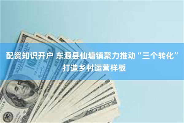 配资知识开户 东源县仙塘镇聚力推动“三个转化”  打造乡村运营样板