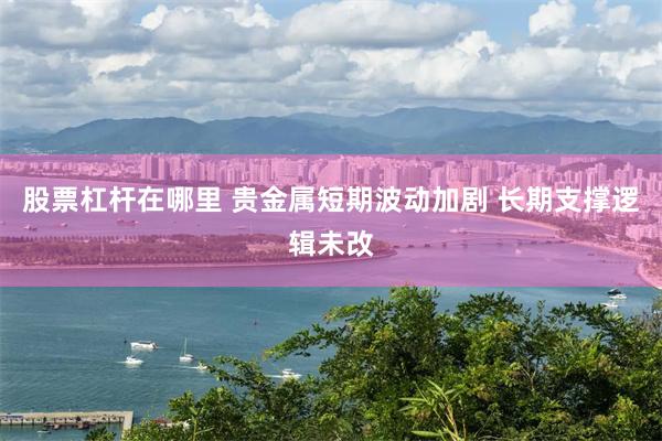 股票杠杆在哪里 贵金属短期波动加剧 长期支撑逻辑未改