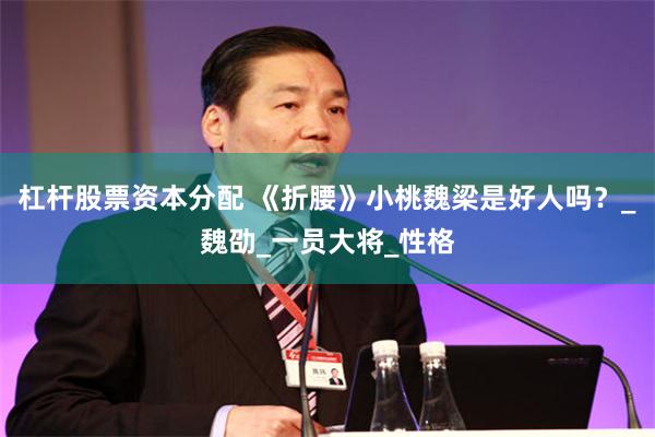 杠杆股票资本分配 《折腰》小桃魏梁是好人吗？_魏劭_一员大将_性格