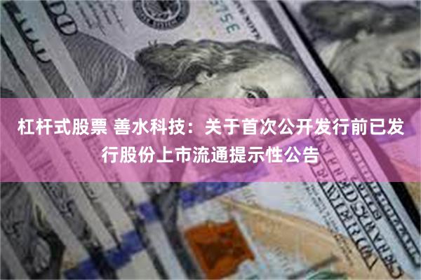杠杆式股票 善水科技：关于首次公开发行前已发行股份上市流通提示性公告
