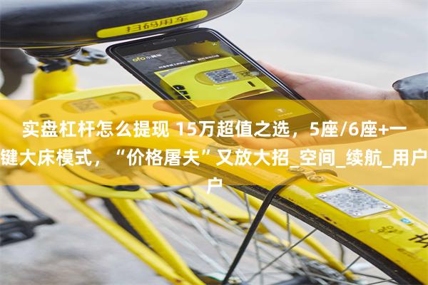 实盘杠杆怎么提现 15万超值之选，5座/6座+一键大床模式，“价格屠夫”又放大招_空间_续航_用户
