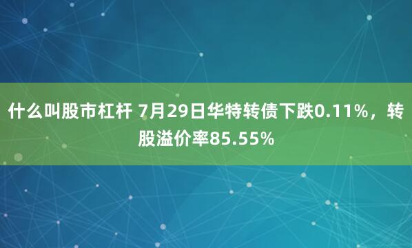 什么叫股市杠杆 7月29日华特转债下跌0.11%,转股溢价率85.55%