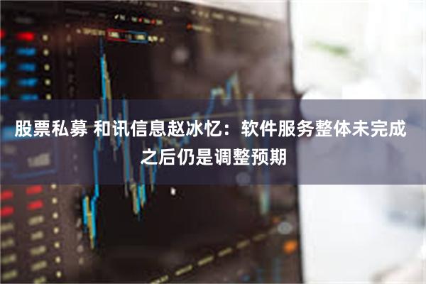 股票私募 和讯信息赵冰忆：软件服务整体未完成 之后仍是调整预期