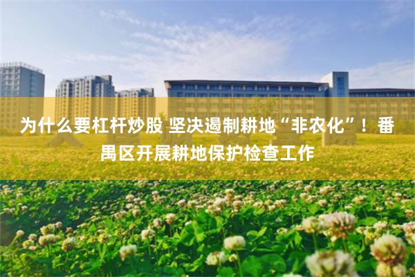 为什么要杠杆炒股 坚决遏制耕地“非农化”!番禺区开展耕地保护检查工作