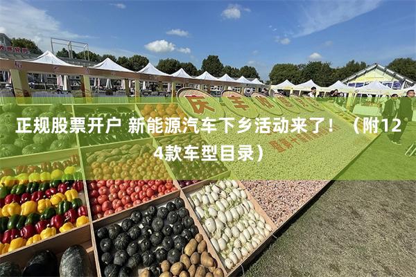 正规股票开户 新能源汽车下乡活动来了！（附124款车型目录）