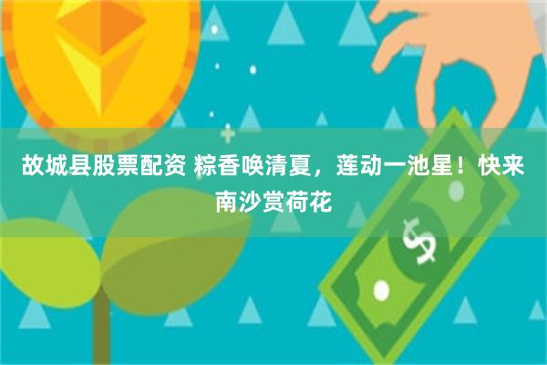 故城县股票配资 粽香唤清夏,莲动一池星!快来南沙赏荷花