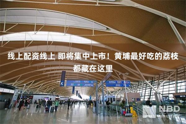 线上配资线上 即将集中上市!黄埔最好吃的荔枝都藏在这里