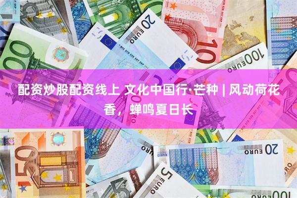 配资炒股配资线上 文化中国行·芒种 | 风动荷花香，蝉鸣夏日长