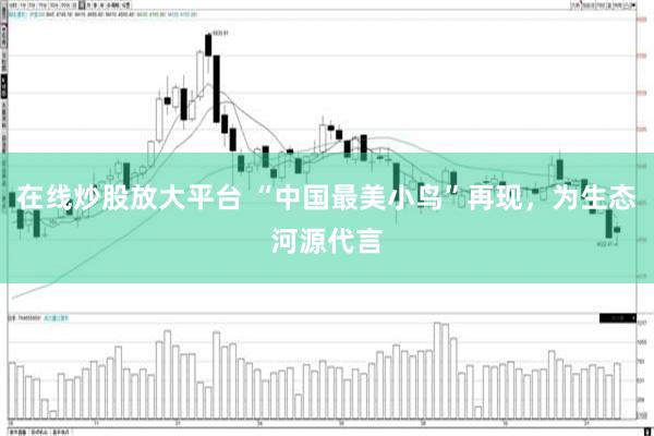 在线炒股放大平台 “中国最美小鸟”再现，为生态河源代言