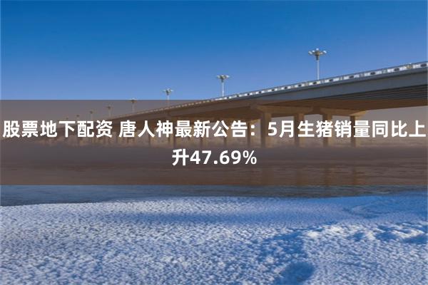 股票地下配资 唐人神最新公告：5月生猪销量同比上升47.69%
