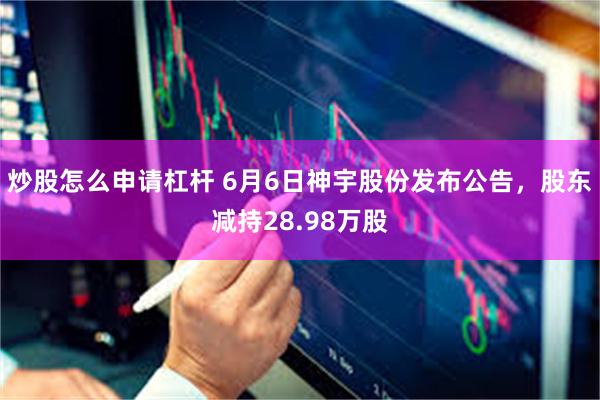 炒股怎么申请杠杆 6月6日神宇股份发布公告，股东减持28.98万股