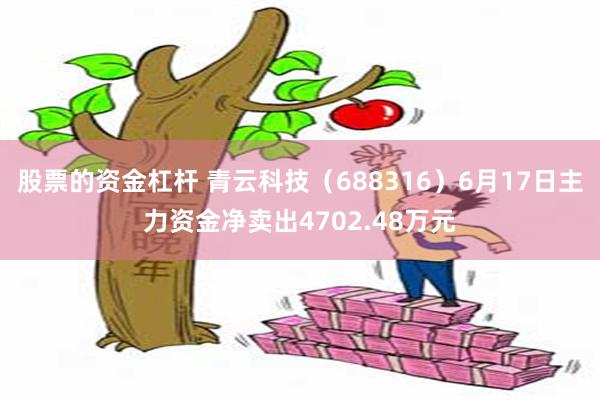 股票的资金杠杆 青云科技（688316）6月17日主力资金净卖出4702.48万元