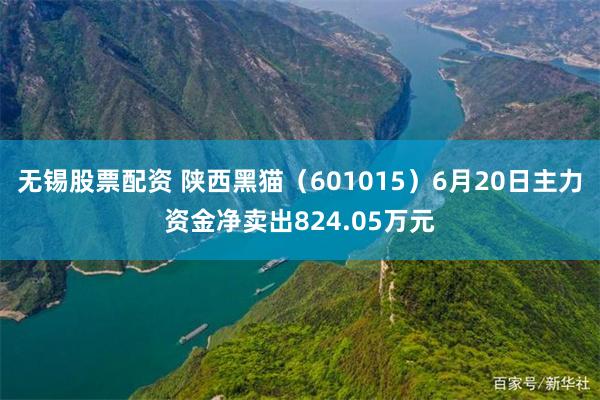 无锡股票配资 陕西黑猫（601015）6月20日主力资金净卖出824.05万元