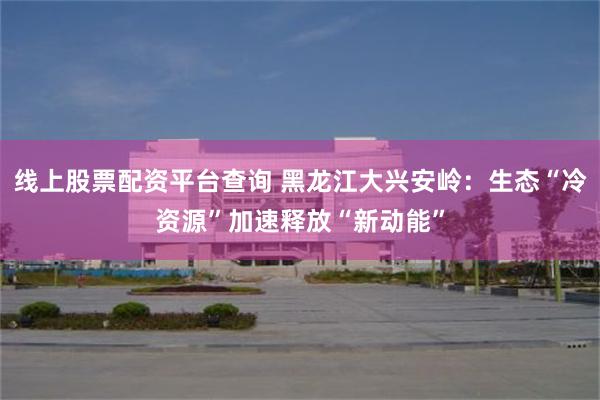 线上股票配资平台查询 黑龙江大兴安岭：生态“冷资源”加速释放“新动能”