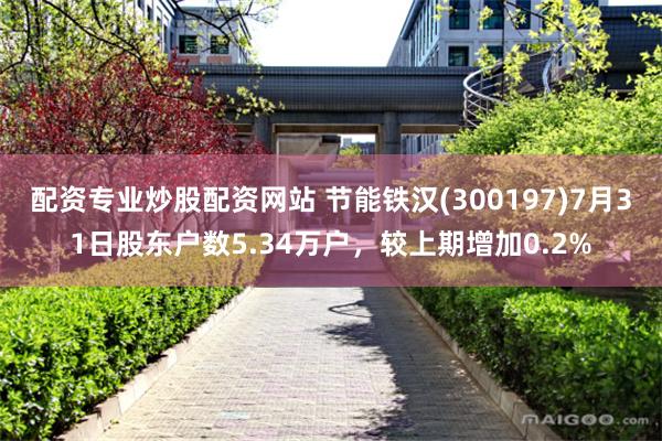 配资专业炒股配资网站 节能铁汉(300197)7月31日股东户数5.34万户，较上期增加0.2%
