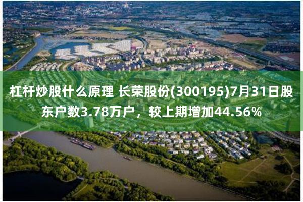 杠杆炒股什么原理 长荣股份(300195)7月31日股东户数3.78万户，较上期增加44.56%