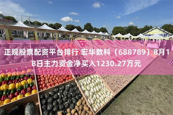 正规股票配资平台排行 宏华数科(688789)8月18日主力资金净买入1230.27万元