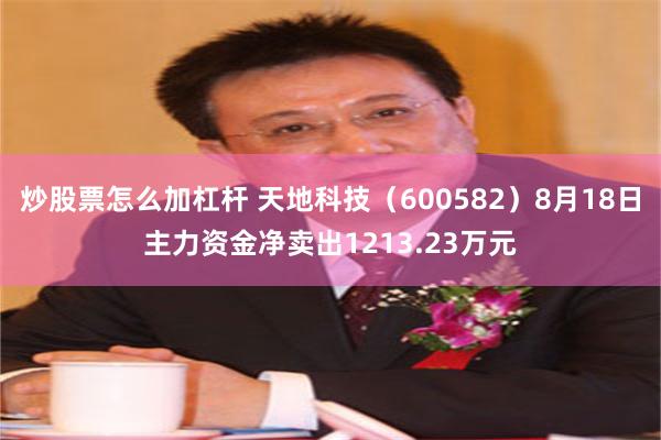 炒股票怎么加杠杆 天地科技（600582）8月18日主力资金净卖出1213.23万元