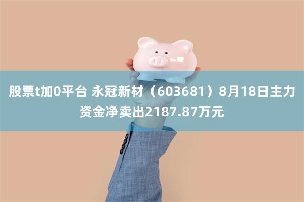 股票t加0平台 永冠新材（603681）8月18日主力资金净卖出2187.87万元