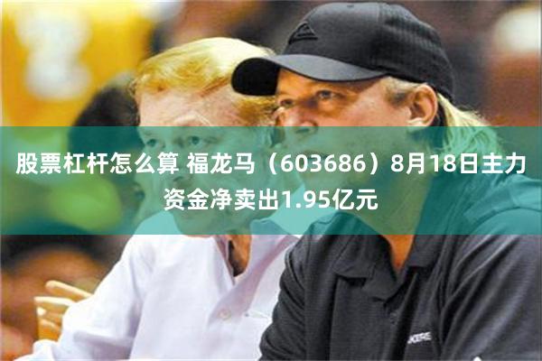 股票杠杆怎么算 福龙马（603686）8月18日主力资金净卖出1.95亿元