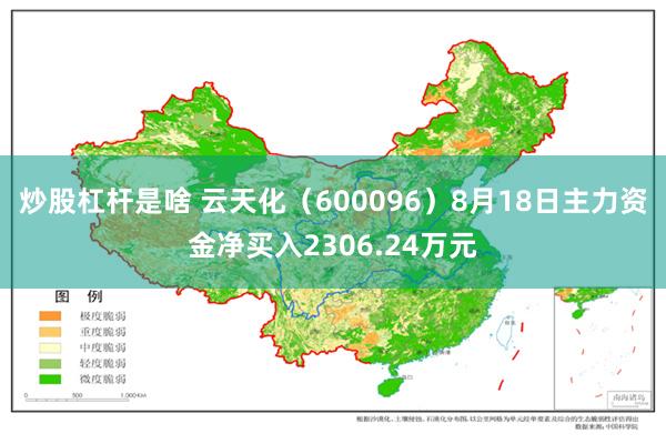 炒股杠杆是啥 云天化（600096）8月18日主力资金净买入2306.24万元