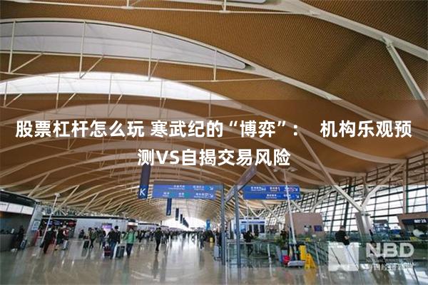 股票杠杆怎么玩 寒武纪的“博弈”：  机构乐观预测VS自揭交易风险