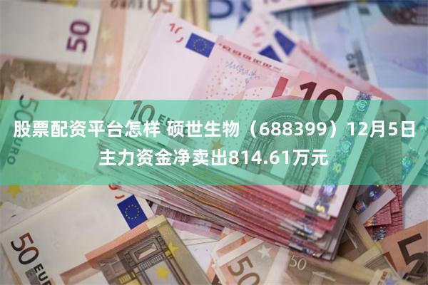 股票配资平台怎样 硕世生物（688399）12月5日主力资金净卖出814.61万元