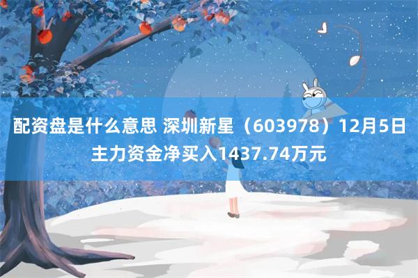 配资盘是什么意思 深圳新星（603978）12月5日主力资金净买入1437.74万元