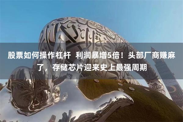 股票如何操作杠杆  利润暴增5倍！头部厂商赚麻了，存储芯片迎来史上最强周期