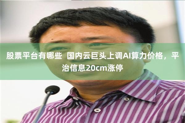 股票平台有哪些  国内云巨头上调AI算力价格，平治信息20cm涨停