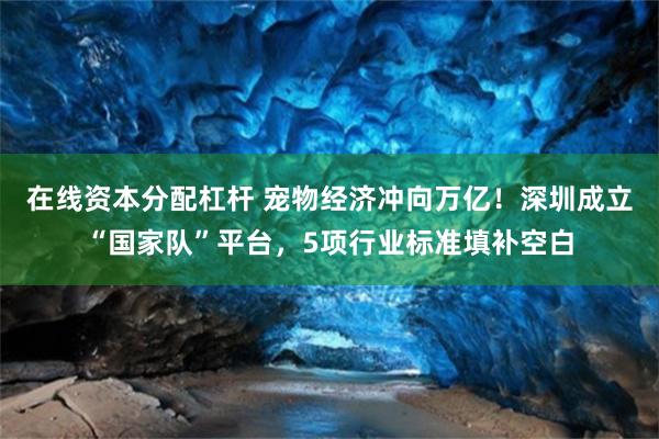 在线资本分配杠杆 宠物经济冲向万亿！深圳成立“国家队”平台，5项行业标准填补空白