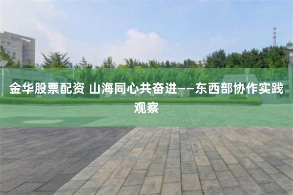 金华股票配资 山海同心共奋进——东西部协作实践观察