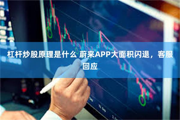 杠杆炒股原理是什么 蔚来APP大面积闪退，客服回应