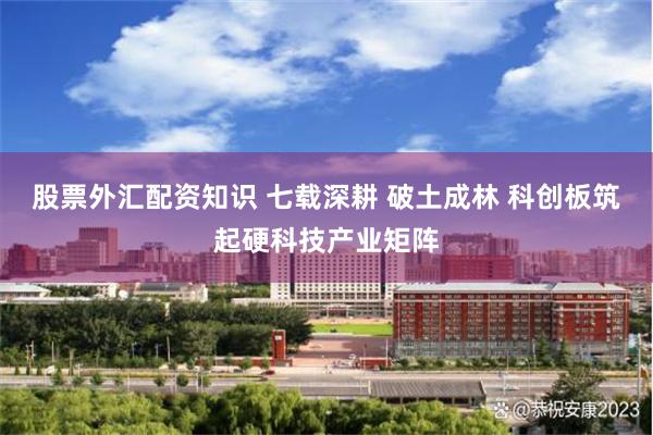 股票外汇配资知识 七载深耕 破土成林 科创板筑起硬科技产业矩阵