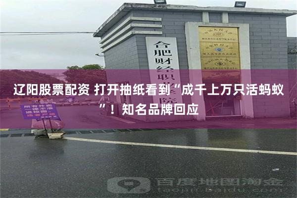 辽阳股票配资 打开抽纸看到“成千上万只活蚂蚁”！知名品牌回应