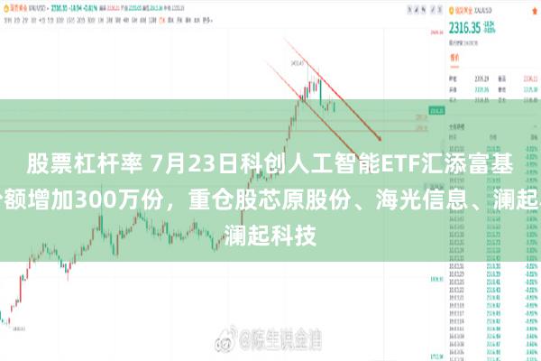 股票杠杆率 7月23日科创人工智能ETF汇添富基金份额增加300万份，重仓股芯原股份、海光信息、澜起科技