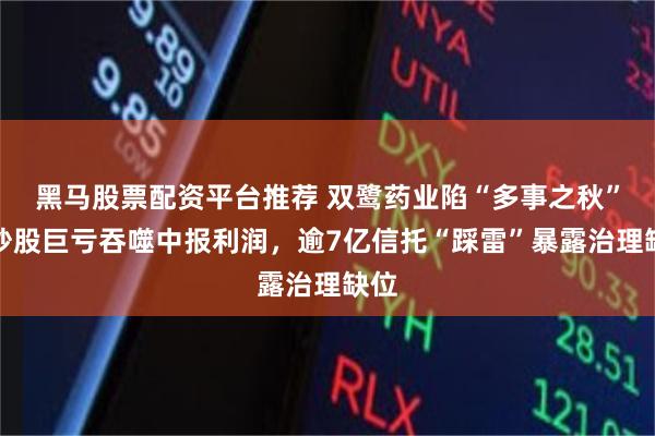 黑马股票配资平台推荐 双鹭药业陷“多事之秋”：炒股巨亏吞噬中报利润，逾7亿信托“踩雷”暴露治理缺位