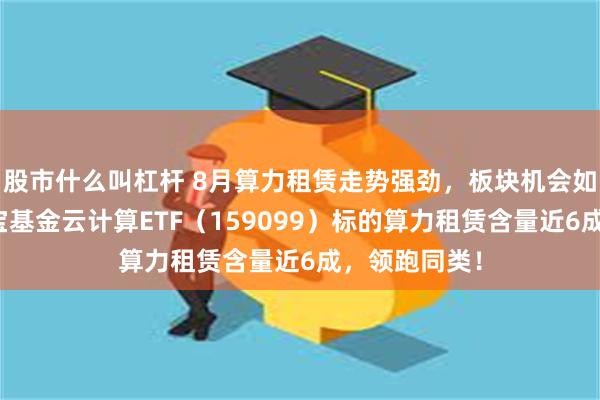 股市什么叫杠杆 8月算力租赁走势强劲，板块机会如何把握？华宝基金云计算ETF（159099）标的算力租赁含量近6成，领跑同类！
