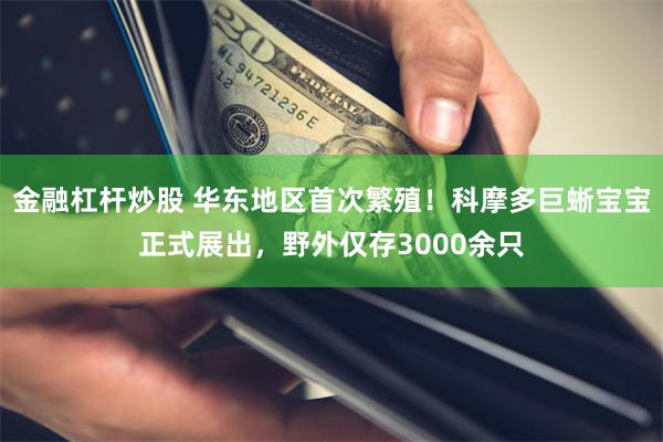 金融杠杆炒股 华东地区首次繁殖！科摩多巨蜥宝宝正式展出，野外仅存3000余只