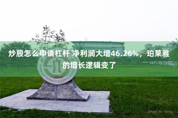 炒股怎么申请杠杆 净利润大增46.26%，珀莱雅的增长逻辑变了