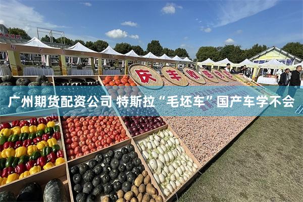 广州期货配资公司 特斯拉“毛坯车”国产车学不会